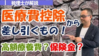 【記入例付】医療費控除から差し引く「補てんされる金額」とは？ 高額療養費や保険金は？具体例で解説！ [upl. by Cirnek]