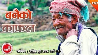 New Nepali Lok Dohori 2074  Banaiko Kafal  Nabin Rana Ft Ujir Pun Magar [upl. by Emery268]