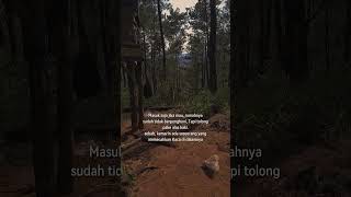 Masuk saja saung hutan Pinus shorts [upl. by Weinstein]