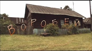 Художественный фильм «Воробей»  Реж Ю Шиллер Dir by Y Shiller  «The Sparrow» Movie eng sub [upl. by Ackerman]