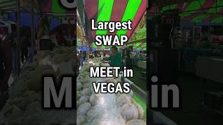 Largest swap meet in the Vegas area shortstravel shortsfood shorts [upl. by Neelcaj]