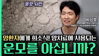 암치료 암환자에게 희소식 암치료에 사용되는 운모의 놀라운 비밀 [upl. by Potash]