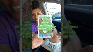 Temperance Major Arcana Reading Energy with the Tarot Truth Council 23 [upl. by Ylehsa]