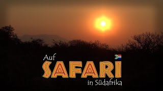 Auf Safari in Südafrika 13 Reportage  Doku  Dokumentation Deutsch [upl. by Grati681]