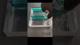 Gel Electrophoresis Pour the Gel [upl. by Ciardap]