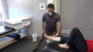 Manual Muscle Test for Ankle DorsiflexionInversion [upl. by Elnar]