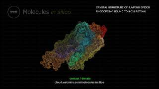 Molecules in silico ･ CRYSTAL STRUCTURE OF JUMPING SPIDER RHODOPSIN1 BOUND TO 9CIS RETINAL [upl. by Chapin]