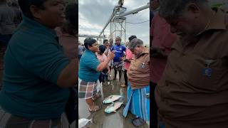 ஏய் ₹2900 Ultimate fish auction video reels viralvideoシ fishing thenkadalmeenavan shorts [upl. by Demona721]