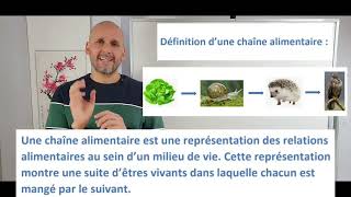 Chaîne alimentaire et niveau trophique [upl. by Weissman]