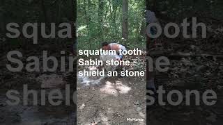 455lbs squantum tooth stone [upl. by Catina]