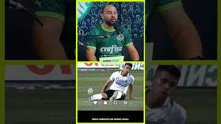 Palmeiras e suas contratações de promessas [upl. by Hung]