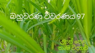 MCQ 97  Agricultural Science for Advance Level Examination Sinhala medium [upl. by Sharpe]