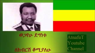 Wogayehu Degnetu  ለክብርሽ ቆሚያለሁ  Lekibrsh Komiyalehu [upl. by Sulienroc]