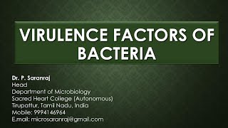 Virulence Factors of Bacteria [upl. by Ainoek]