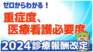 【入門編】重症度、医療・看護必要度とは？（令和6年度2024年度改定） [upl. by Randell156]