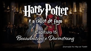 Harry Potter e o Cálice de Fogo  Capitulo 15  Beauxbatons e Durmstrang [upl. by Eserahs]