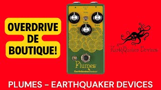 Plumes Overdrive  EarthQuaker Devices [upl. by Nylac335]