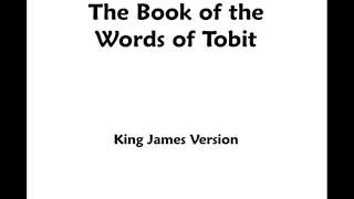 Tobit  KJV  Audio Bible [upl. by Hanleigh]