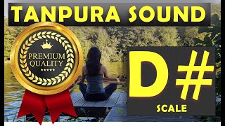 D Scale Tanpura  Tanpura D Scale  All Tanpura Scales in HQ [upl. by Valdemar]