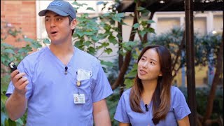 What Makes the UCLA School of Dentistry Special [upl. by Aicssej]