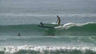 Lani Surfing Dog Part 1  Natural Balance Dog with Chris de Aboitiz [upl. by Cavanaugh]