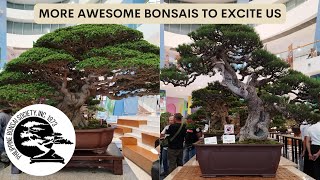 ASPAC  ABFF  PBSI Bonsai and Suiseki Exhibition and Convention Part 4 [upl. by Gothard762]