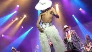 George Clinton amp Parliament Funkadelic  Flashlight live at Bluesfest 2015  Byron Bay Australia [upl. by Ecerehs]