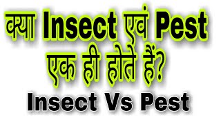 What is the Insect and Pest। Difference Between Insecticide and Pesticides। [upl. by Leonteen932]