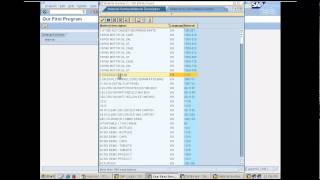 Creating our first report program in SAP  Day 4 [upl. by Annua290]