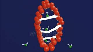 Western blot [upl. by Strephonn349]