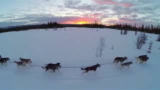 Voyage en Laponie  séjour chiens de traîneau Laponie Sportive [upl. by Jann688]