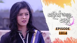 Tarini Akhira Tara  Full Ep 1014  3rd May 2021  Odia Serial – TarangTV [upl. by Annoyt]