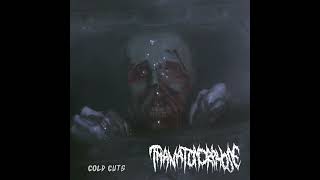 THANATOMORPHOSE GOREGRIND  Cold Cuts double EP 2024 [upl. by Harikahs405]