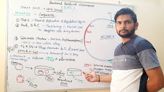 Bacterial Artificial ChromosomeBACs in Hindi [upl. by Yknarf]