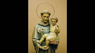 Father Radecki CMRI The Story of St Anthony of Padua [upl. by Cyrano]