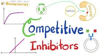 Competitive Inhibition Competitive Inhibitors  Enzyme Kinetics  Biochemistry [upl. by Yerffej]