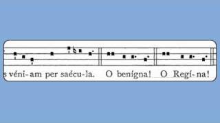 Inviolata Benediction Sequence BVM [upl. by Beret]