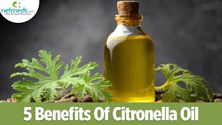 5 Excellent Benefits Of Citronella Essential Oil [upl. by Alberik]