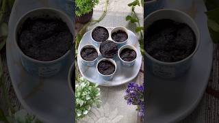 Cup cake  Cupcake recipe Chocolate cupcake recipe  Eggless cupcake recipe Cup cake making recipe [upl. by Norha]