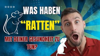 Die „Ratten“ in unserem Organismus  was sind die Folgen von all dem [upl. by Airla]