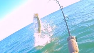 Florida Keys Tarpon Fishing  Double Tarpon and a Jack [upl. by Honniball205]