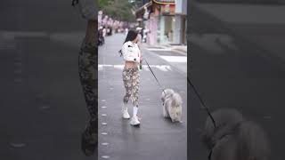 Walking with dog walking youtubeshorts youtuber youtubeguru trending trendingvideo shorts [upl. by Huntingdon]