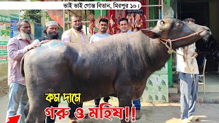 কম দামে গরু ও মহিষ মিরপুর ১০ ভাই ভাই গোস্ত বিতান। beef price 2023 [upl. by Nairam]