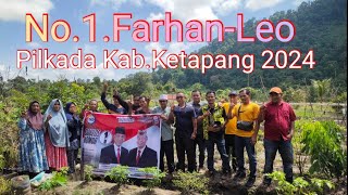 Tim FarhanLeo no1 Pilkada KabKetapang 2024 [upl. by Newby788]