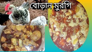 বোড়ান মুরগি রেসেপি 😋🍗।। sabanar rannaghor [upl. by Ylicic]