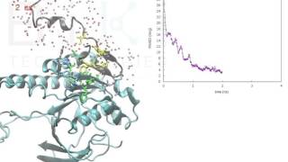 RAD51BRCA2 MDBinding [upl. by Ixel479]