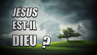 JÉSUS ESTIL DIEU SELON LA BIBLE [upl. by Koser]