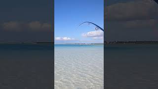 Bonefish and reels 😍 fishing bonefish saltwaterflyfishing fish [upl. by Montgomery927]