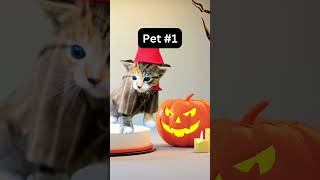 Which Halloween pet makes YOU the happiest😀😁🥹halloweenpets pets [upl. by Oag955]