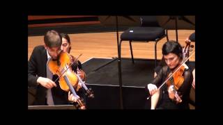 Telemann double viola concerto pour deux altos [upl. by Ellehcir939]